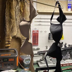 Modern Movements Bras